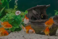 10-Hewan-Peliharaan-Unik-yang-Cocok-untuk-Apartemen hewan pemeliharaan unik untuk apartemen