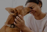 Alasan-Anjing-Suka-Menjilat-Wajah-Manusia-dan-Cara-Memahaminya Alasan Anjing Suka Menjilat Wajah Manusia dan Cara Memahaminya