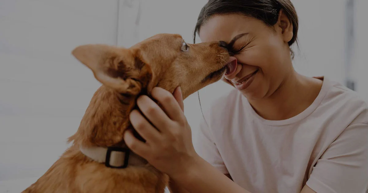 Alasan Anjing Suka Menjilat Wajah Manusia dan Cara Memahaminya