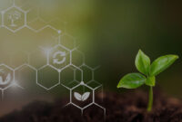 Bagaimana Blockchain Bisa Bantu Transparansi di Rantai Pangan?