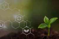 Bagaimana Blockchain Bisa Bantu Transparansi di Rantai Pangan?