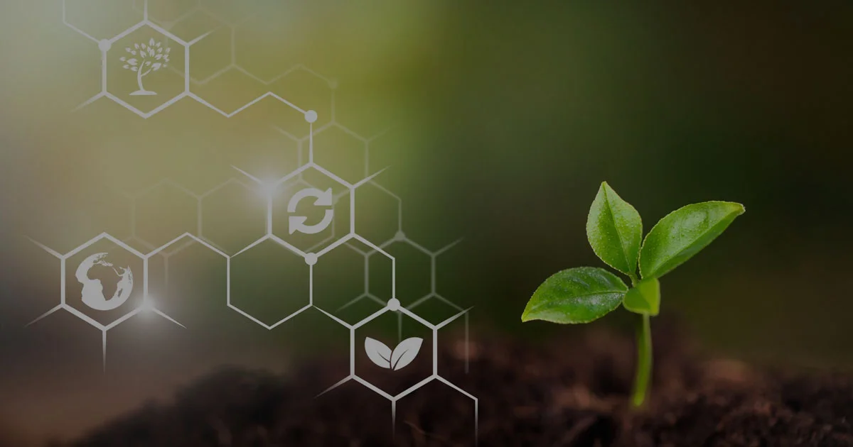 Bagaimana Blockchain Bisa Bantu Transparansi di Rantai Pangan?