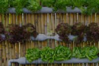 Cara Cerdas Bertani di Lahan Sempit Hasil Tetap Melimpah!