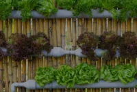 Cara-Cerdas-Bertani-di-Lahan-Sempit-Hasil-Tetap-Melimpah Cara Cerdas Bertani di Lahan Sempit Hasil Tetap Melimpah!