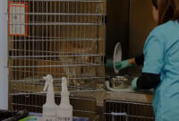 Cara Membersihkan Kandang Hewan Agar Bersih dan Bebas Bau