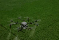 Dampak-AI-dan-Drone-pada-Produktivitas-Pertanian-Indonesia Dampak AI dan Drone pada Produktivitas Pertanian Indonesia