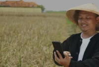 Dari Sawah ke Smartphone Transformasi Digital Petani Masa Kini