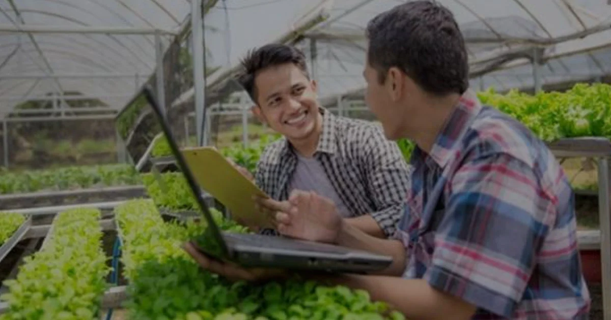 Generasi Muda Mulai Melirik Dunia Pertanian, Apa Alasannya?