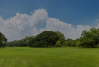 Harga Tanah Naik Terus, Ini Waktu Terbaik Buat Investasi