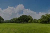 Harga Tanah Naik Terus, Ini Waktu Terbaik Buat Investasi