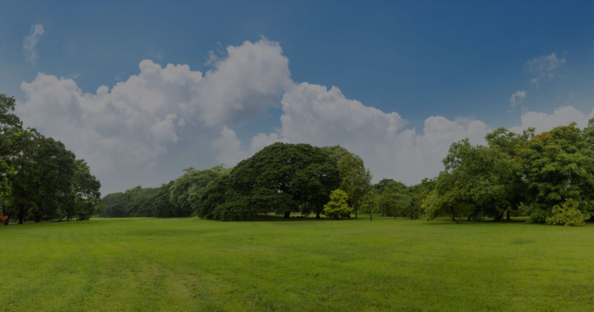 Harga Tanah Naik Terus, Ini Waktu Terbaik Buat Investasi Harga Tanah Naik Terus, Ini Waktu Terbaik Buat Investasi