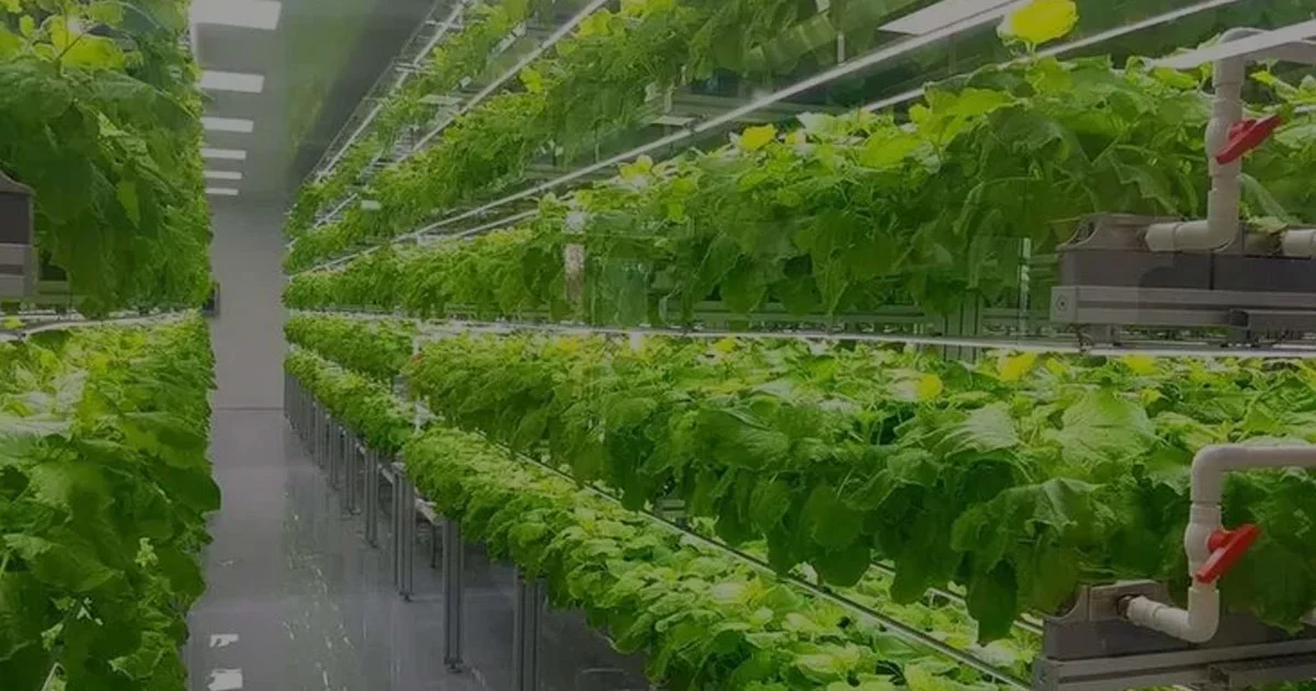 Inovasi Pertanian Vertikal Masa Depan Pangan Dunia