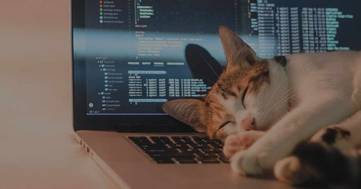 Kenapa Kucing Suka Tidur di Atas Laptop? Ini Penjelasannya!