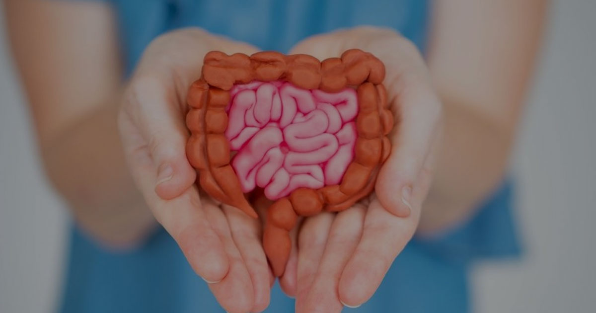 Kesehatan Usus Si Penentu Imun yang Sering Terlupakan Kesehatan Usus Si Penentu Imun yang Sering Terlupakan