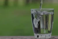Minum Air Putih Bukan Sekadar Rutinitas, Ini Dampak Nyatanya!