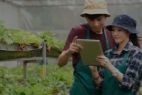 Peluang Emas Bisnis Agrikultur di Era Digital