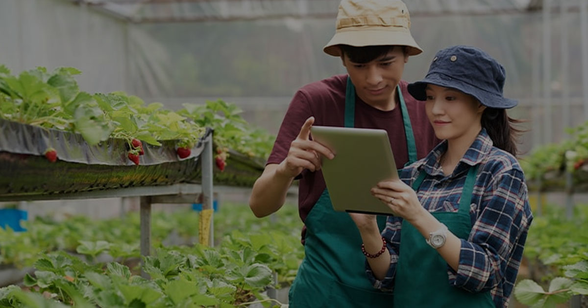 Peluang Emas Bisnis Agrikultur di Era Digital