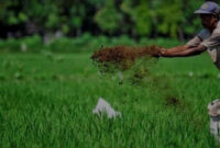 Pertanian Berkelanjutan, Tren atau Kebutuhan Mendesak?