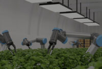 Teknologi AI di Dunia Pertanian, Ancaman atau Solusi?