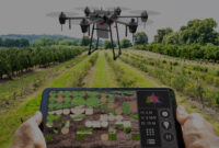 Tren Pertanian 2025 Dari Smart Farming sampai Data Analytics