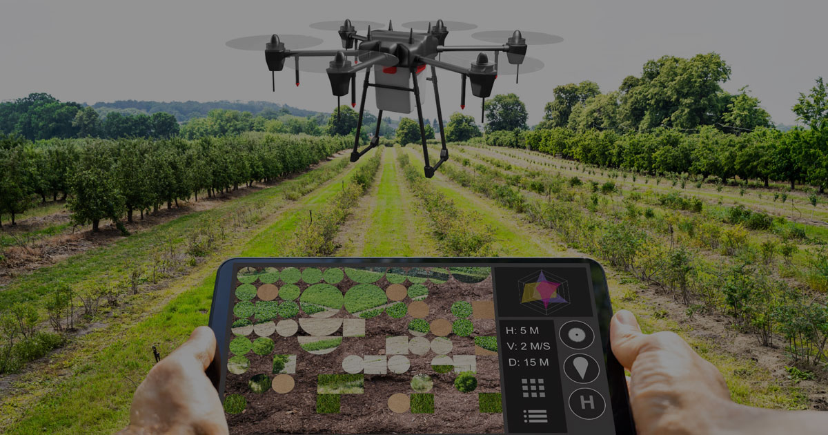 Tren Pertanian 2025 Dari Smart Farming sampai Data Analytics